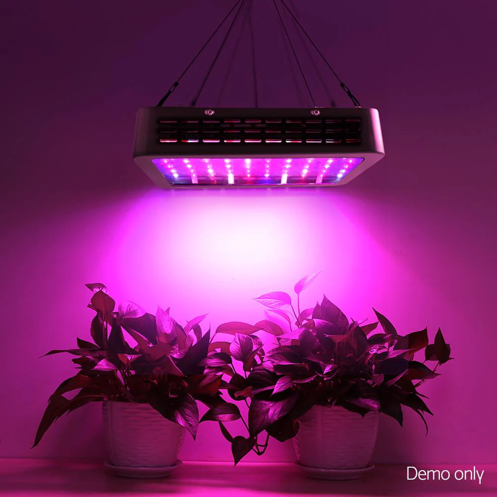 1000W Grow Light LED Full Spectrum Indoor Plant All Stage Growth - Nurns