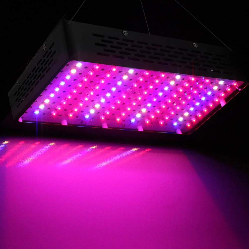 1000W Grow Light LED Full Spectrum Indoor Plant All Stage Growth - Nurns