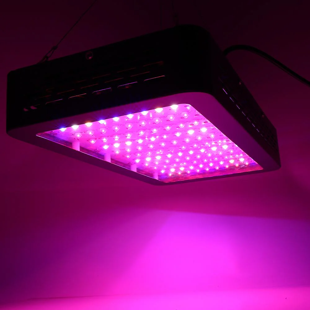 1200W LED Grow Light Full Spectrum - Nurns
