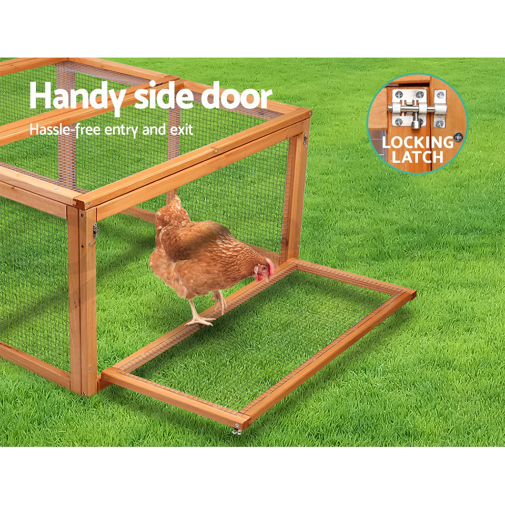 Rabbit Hutch Chicken Coop - Nurns