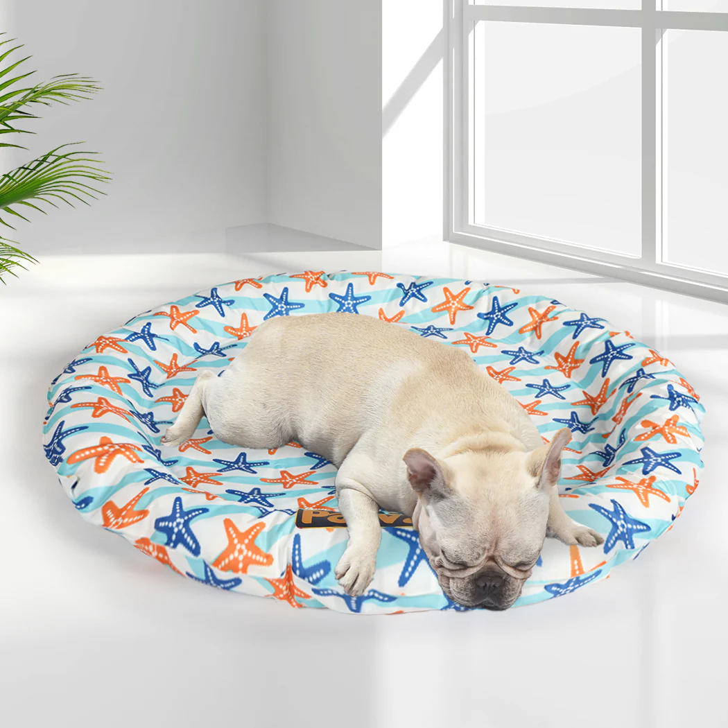 LARGE Dog Beds Pet Cool Gel Mat Bolster - Multicolour - Nurns
