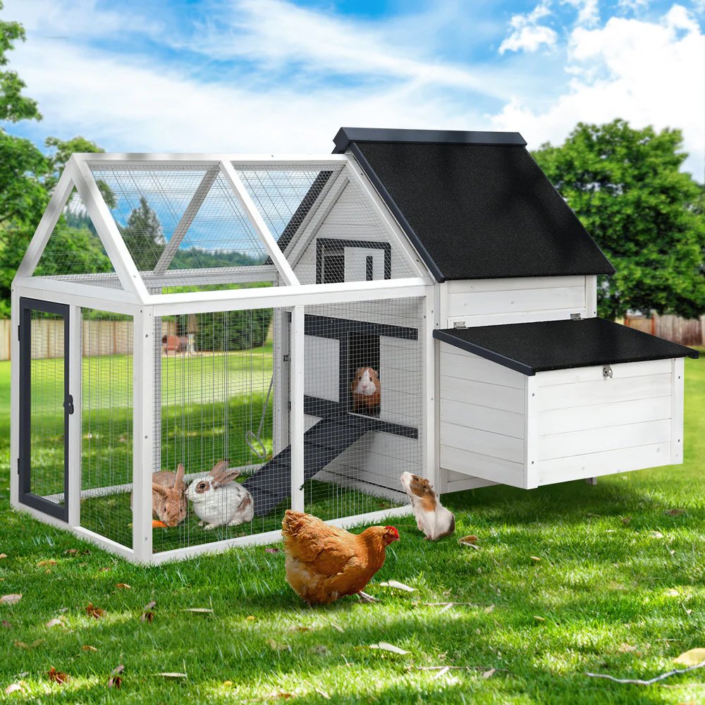 Chicken Coop Rabbit Hutch Large House Run Cage XL Pet Hutch Bunny Wooden - Nurns