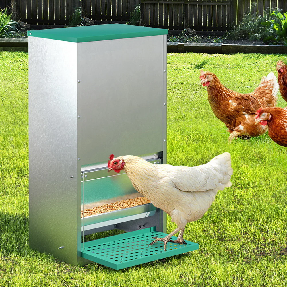 Automatic Chicken Feeder Port Coop Chick Poultry Treadle Self Opening - Nurns