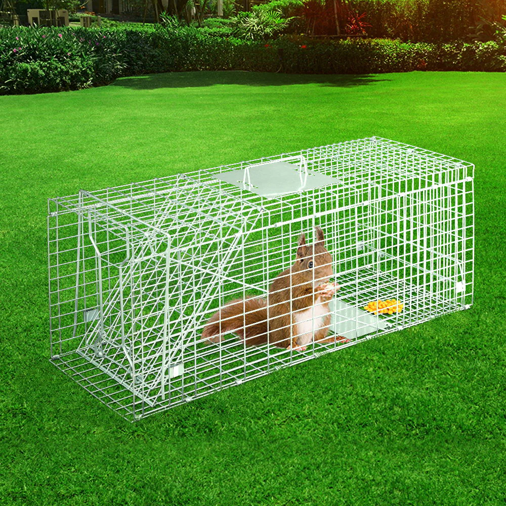Animal Trap Humane Possum Cage Live Animal Catch Rabbit Cat Hare Fox - Nurns