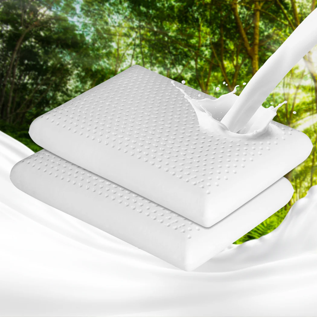 Set of 2 Natural Latex Pillow Removable - Nurns