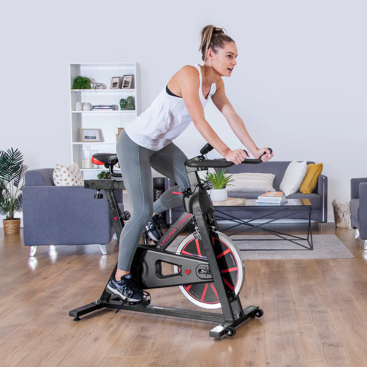 Lifespan Fitness SP-310 M2 Lifespan Fitness Spin Bike - Nurns