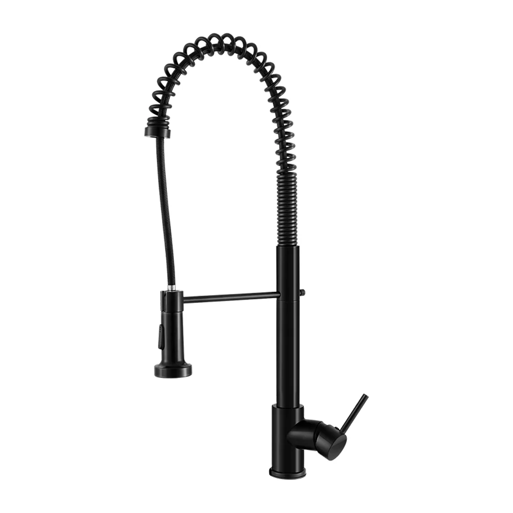 Pull Out Kitchen Tap Mixer Basin Taps Faucet Vanity Sink Swivel Brass WEL In Black - Nurns