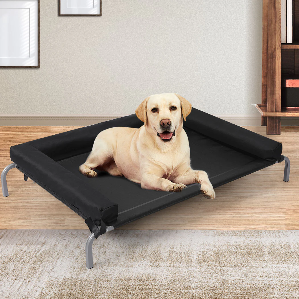 LARGE Dog Beds Elevated Pet Puppy - Black - Nurns