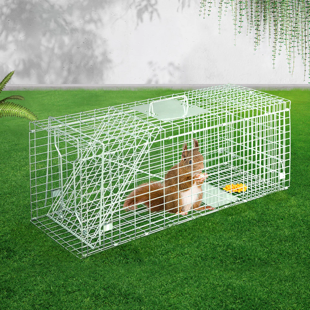 Animal Trap Humane Possum Cage Live Animal Catch Rabbit Cat Hare Fox - Nurns
