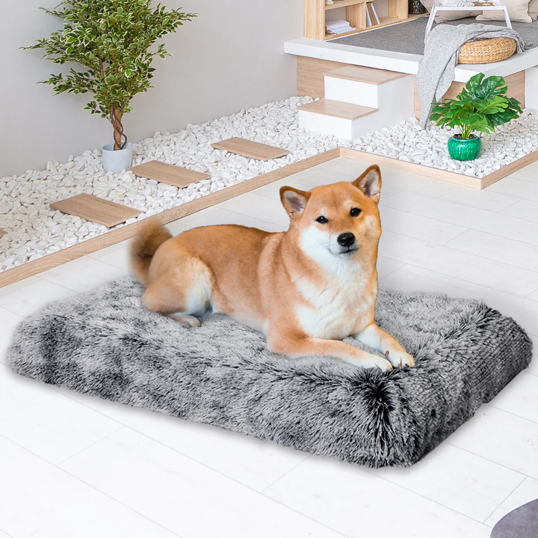 MEDIUM Dog Beds Mat Pet Calming Memory - Charcoal - Nurns