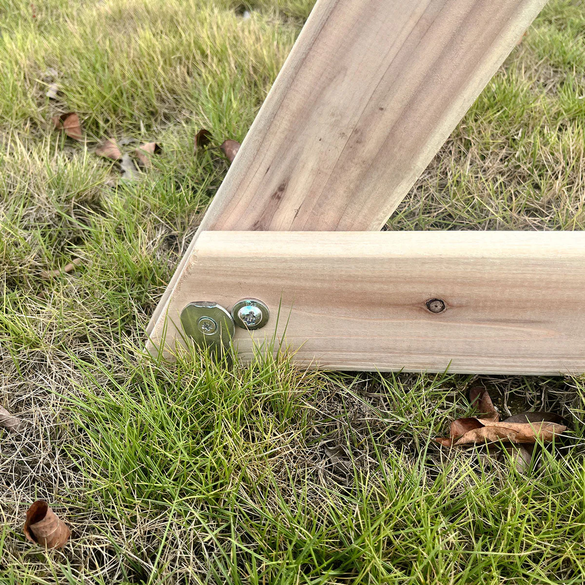 Kids Daintree 2-in-1 Monkey Bars & Swing Set - Nurns