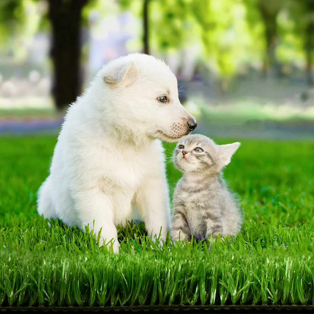 Primeturf Artificial Grass 2mx5m 10mm Synthetic Fake Lawn Turf Plant Plastic Olive - Nurns