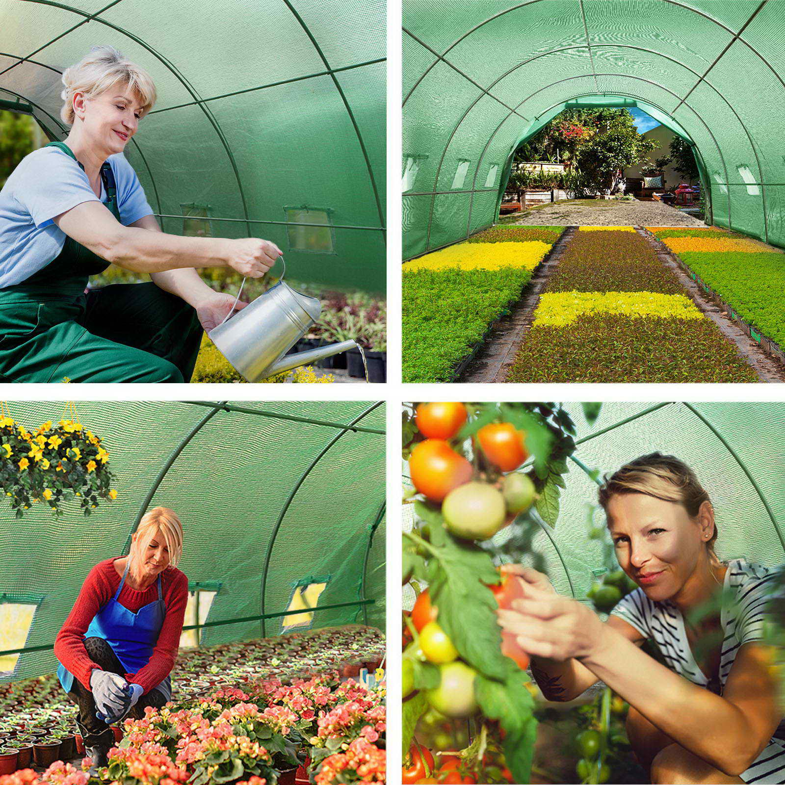 Greenfingers Greenhouse 6x3x2M Walk in Green House Tunnel Plant Garden Shed Dome - Nurns