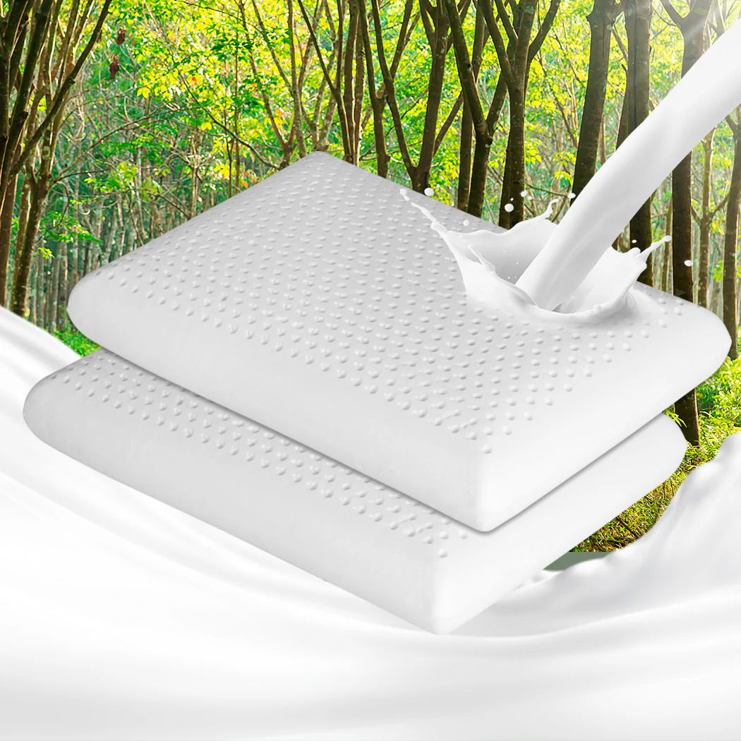 Set of 2 Natural Latex Pillow Removable - Nurns