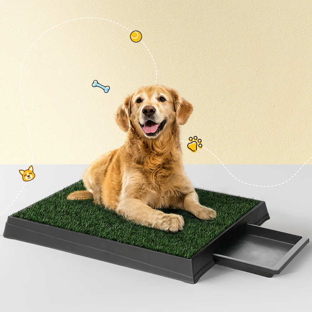 Pet Training Pad Dog Potty Toilet Large Portable With Tray Grass 2 Mats - Nurns