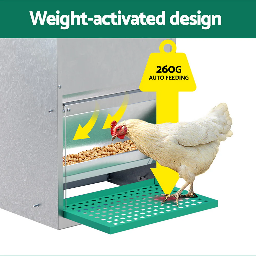 Automatic Chicken Feeder Port Coop Chick Poultry Treadle Self Opening - Nurns