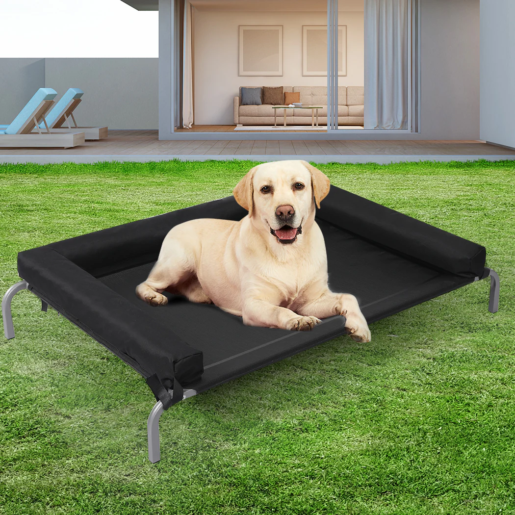 XLarge Dog Beds Elevated Pet Puppy - Black - Nurns