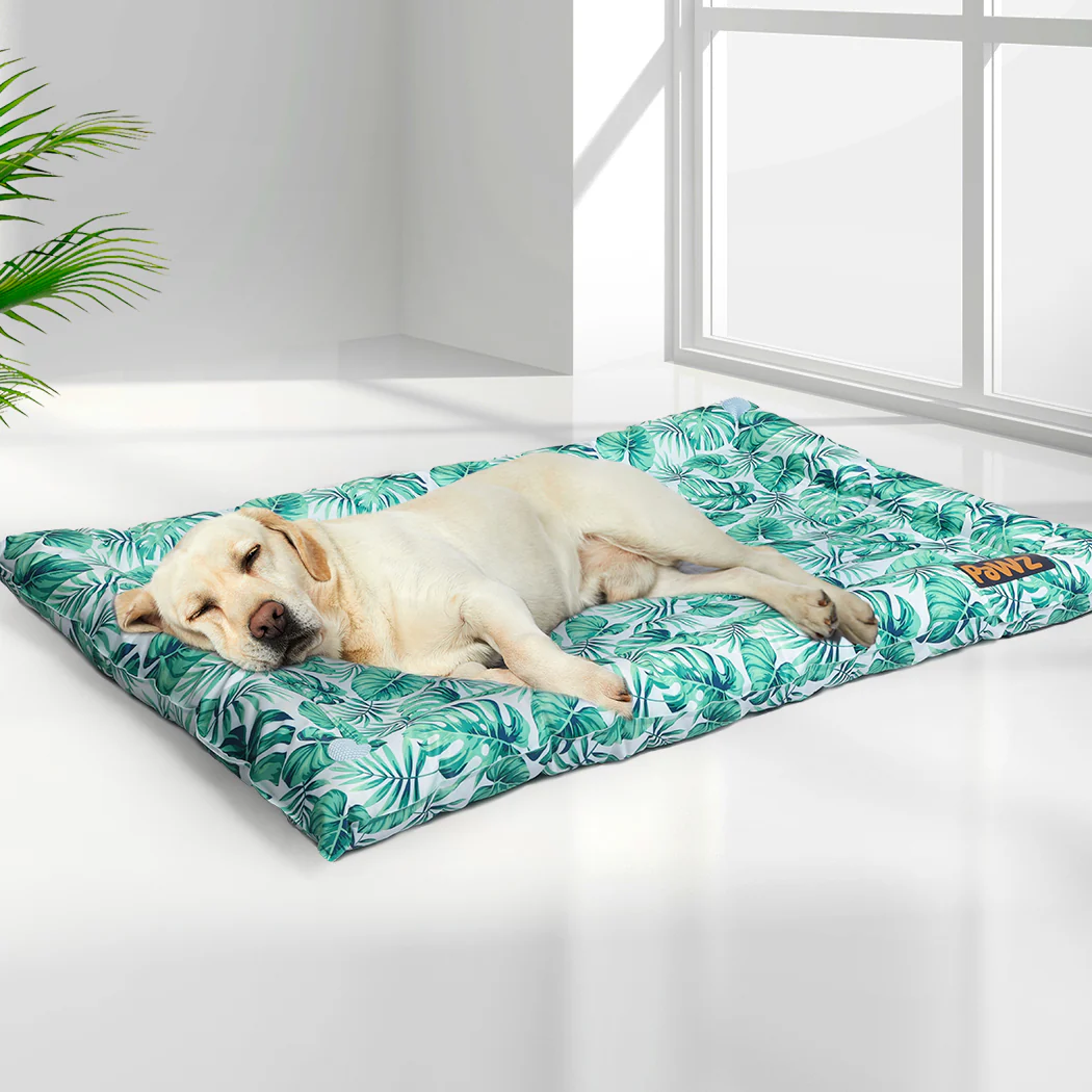 MEDIUM Dog Beds Pet Cool Gel Mat Bolster - Green - Nurns
