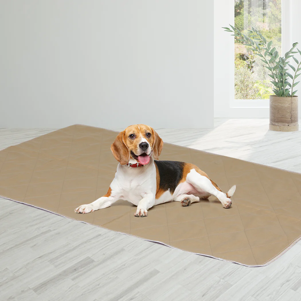 Set of 2 90x90cm Reusable Waterproof Pet Puppy Toilet Training Pads - XXLarge - Nurns