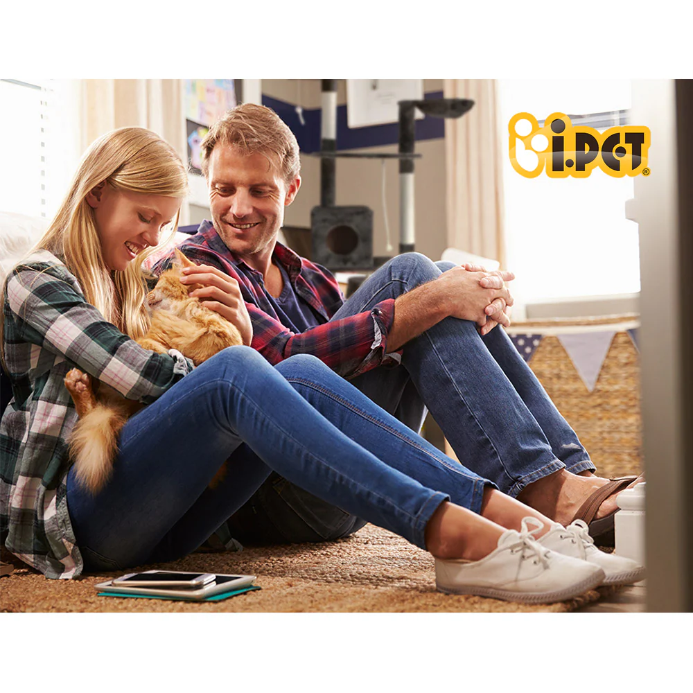 Cat Tree 193cm Trees Scratching Post Scratcher Tower Condo House Furniture Wood - Dark Grey - Nurns