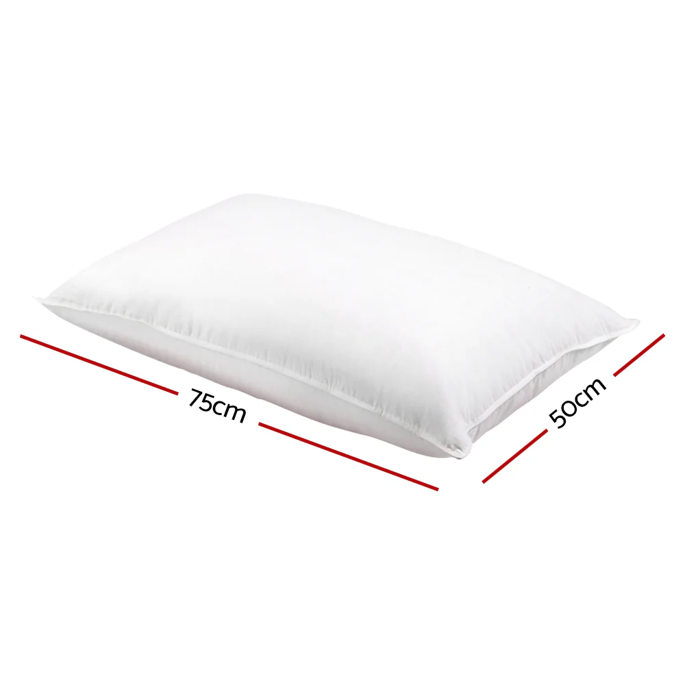 Set of 2 Goose Feather Down Pillow - Nurns