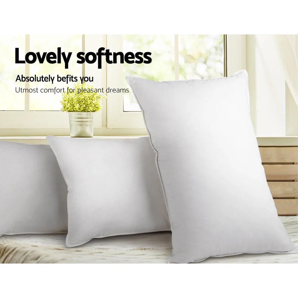 Set of 2 Duck Feather Down Pillow - Nurns